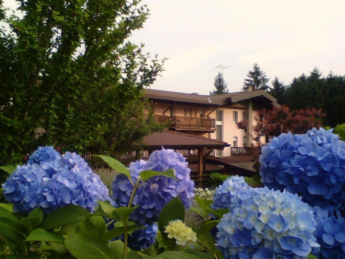 Hotel Natisone San Pietro al Natisone Екстер'єр фото
